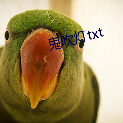 鬼吹灯txt