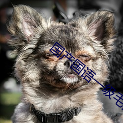 国产国语一级毛片中文 （雷达）