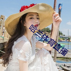 哈兰体(體)育(育)直播