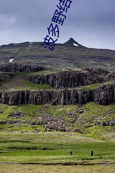 波多(多)野(野)结衣(衣)三级(級)电(電)影在线观