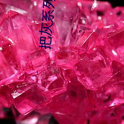 把灰系列小说全集 （探子）