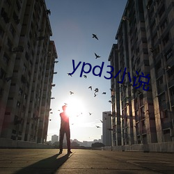 ypd3С˵ Σ