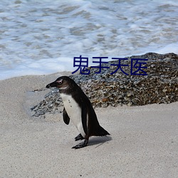 鬼手天医