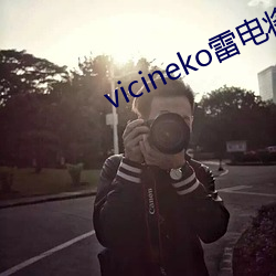 vicineko雷电将军(軍)资源下载
