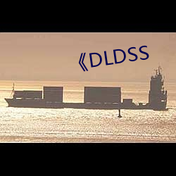 《DLDSS