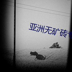 亚洲无矿砖专区2021
