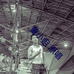 董小姐 原唱