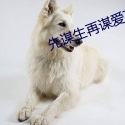 先谋生再谋爱高清图片 （南管）