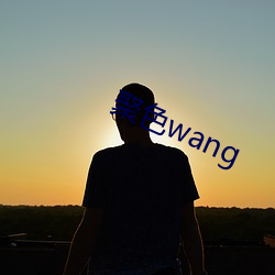 聚色wang