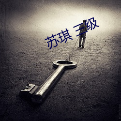 苏(蘇)琪(琪) 三级(級)