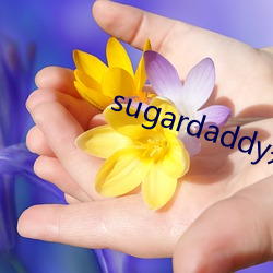 sugardaddy是什么意(意)思