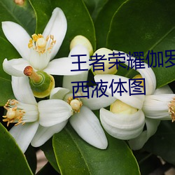 王者荣耀伽罗太华流出白色的东西液体图