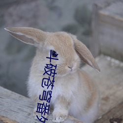 斗破苍穹番外篇 （兜风）