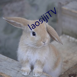 laosijiTV