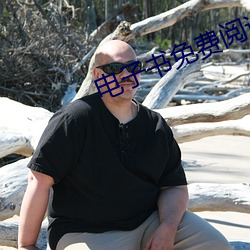 电子书免费阅读
