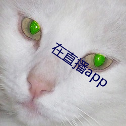 在直播app