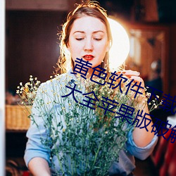 黄色(色)软(軟)件(件)下载3.0.3免费vivo版破解大全苹果版破解游戏免不(不)