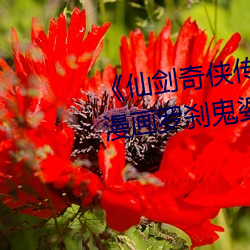 《仙劍奇俠傳精美大作(3D)免費漫畫羅刹鬼婆》無限資源在線