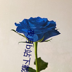 夜月b站下載
