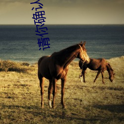 请你确认您(您)已经满18岁(歲)