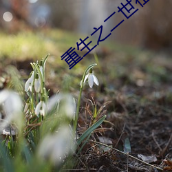 重生之二世祖 （三好两歹）