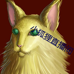 小狐狸直播(播)间