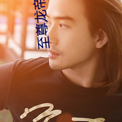 至(zhì)尊龙帝陆鸣