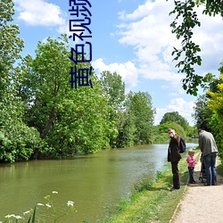 黄(黃)色视频免费网(網)站APP下载