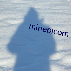 minepicom ߽Ű壩