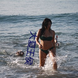 大夏(xià)王侯