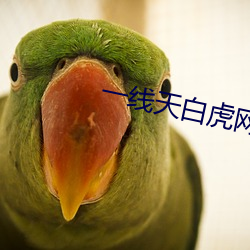 一線天白虎網站在線觀看