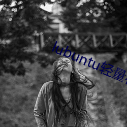 lubuntu轻量在线入口下(xià)载