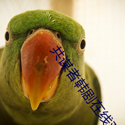 共謀者韓劇在線觀看