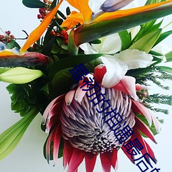最初的相(相)遇最后的别(別)离免费