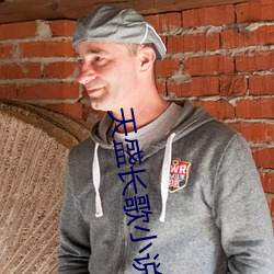 天盛长歌小(xiǎo)说