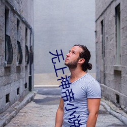 无(wú)上(shàng)神帝小(xiǎo)说免费阅读全文