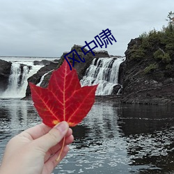 風中嘯