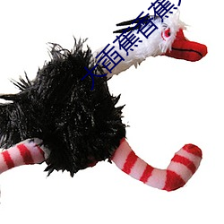 大臿(chā)蕉香蕉大视(shì)频在线(xiàn)