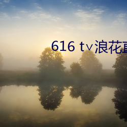 616 t∨浪花直(zhí)播