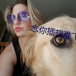 念你插翅難飛
