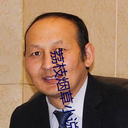 荔枝烟草小说 （书斋）