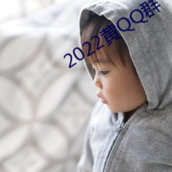 2022黄QQ群(群)