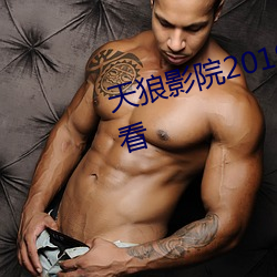 天狼影院2019最新电视剧在线观看