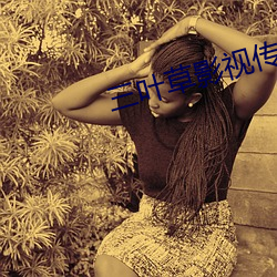 三叶草影视传媒有限公司