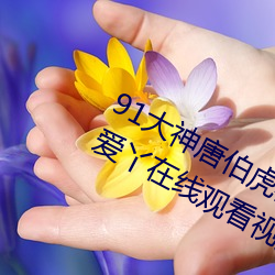 91大神唐伯虎再约高三学生电影爱丫爱丫在线观看视频完整版免费在线观看
