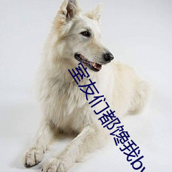 室友们都馋我by野玫瑰湾