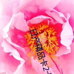 日产精品卡2卡(kǎ)三卡(kǎ)