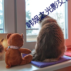 韩娱之光影交错