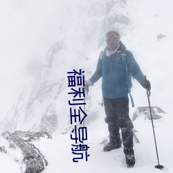 福利全导(導)航