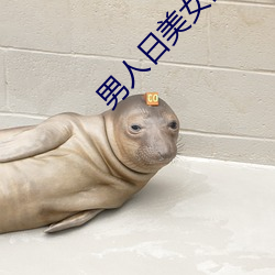 男人日美女的机机 （一丝一毫）
